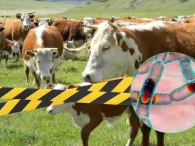 Алматы облысы Үлкен Ақсу ауылына карантин енгізіледі