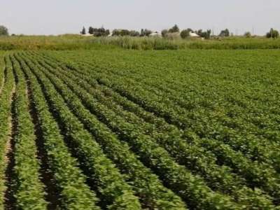 Қырғызстан Қазақстанға 534 млн текше метрден астам су жіберді