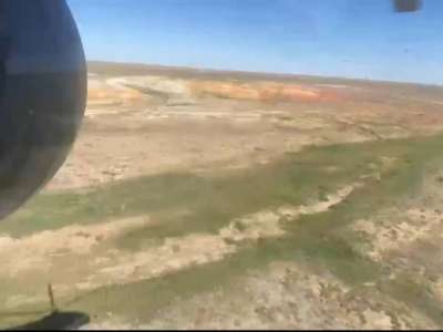 10 жылда 230 тоннадан астам каннабис тобының есірткілері жойылды