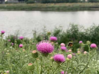 Найзағай, бұршақ, дауыл: Сенбіге арналған ауа райы болжамы