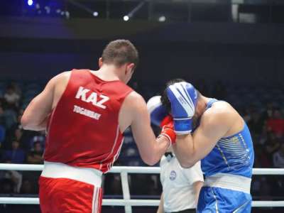 Елімізде жоғары жетістіктер спорты түрлерінің тізімі бекітілді