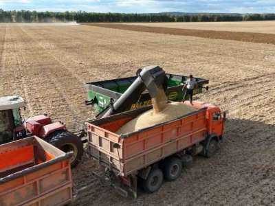 Қазақстанда 22,7 млн тонна астық бастырылды