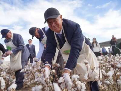 Түркістан облысында AQ-DALA мақташылар фестивалі өтті