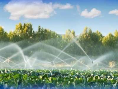 Су үнемдеу технологиялары пайдаланылатын егіс алқабының аумағы 86%-ға ұлғайды