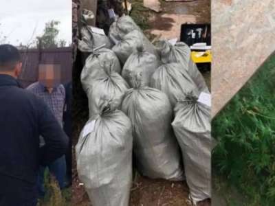 Рудныйда марихуана өсірген тұрғын ұсталды