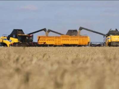 Елімізде бұршақты дақылдарды жинау рекордтық көрсеткішке жетті