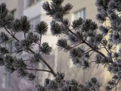 Бүгінгі Астананың ауа райы болжамы