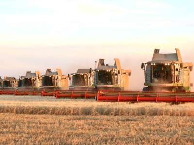 Елде дәнді дақылдарды жинау толық аяқталды — министр