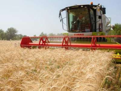 Биыл елімізде рекордтық астық жиналды – министрлік