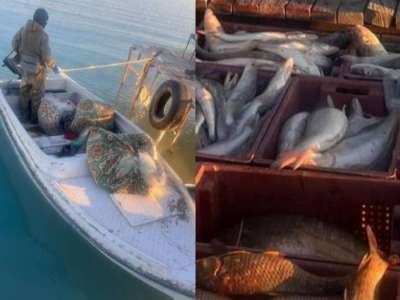 Балқаш көлінде 250 келі балықты заңсыз аулаған браконьерлер ұсталды