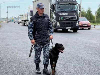 Астанада қызметтік ит автокөліктен есірткі тауып алды