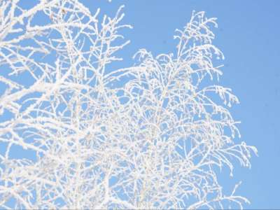 Қазақстанда қыс мезгілінде қайда демалуға болады