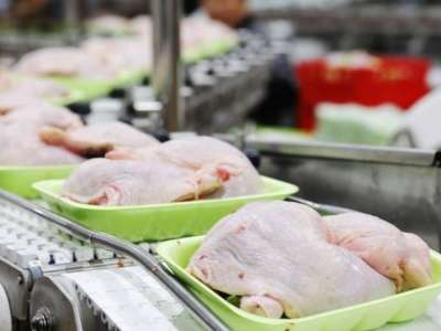 Жамбыл облысында жылына 70 мың тонна құс етін өңдейтін зауыт іске қосылды