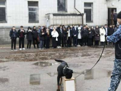 Астаналық студенттер кинологиялық қызметтің қыр-сырымен танысты