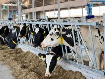 40 млн тонна мал азығы жиналды – АШМ