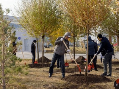 Президент тапсырмасы: 2 млрд ағаш 2027 жылға дейін отырғызылады