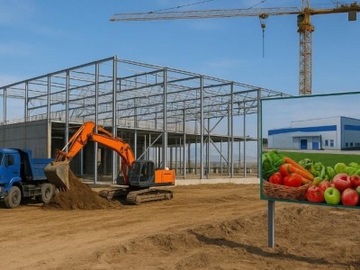 Алматы облысында жылына 70 мың тонна жеміс пен көкөніс өңдейтін зауыт құрылысы басталды