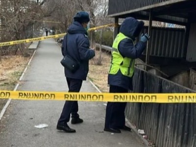 Кентауда қоқыс жәшігінен жаңа туған сәбидің денесі табылды