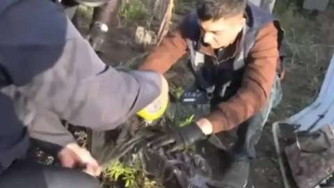 Жасырын зертханада БҚО тұрғыны құрамында есірткі бар өсімдік өсіргені анықталды