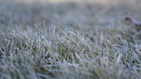«Дөңгелектеріңізді ауыстырыңыздар»: Ақмола полициясы жүргізушілерге ескерту жасады