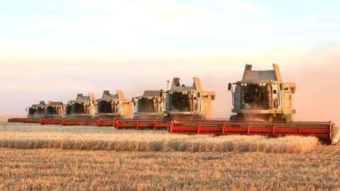 Барлық астық қабылдау кәсіпорындары тұрақты режимде жұмыс істеуі тиіс — Премьер-министр