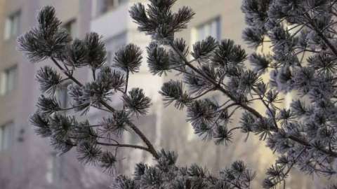 Бүгінгі Астананың ауа райы болжамы