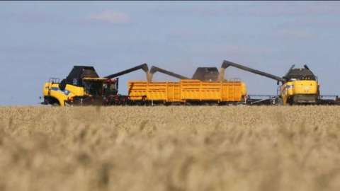 «Рекордтық жыл»: Қазақстанда 27 млн тонна астық жиналды