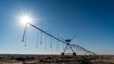 Жетісу облысында жаңбырлатып суару жүйесі қолға алынды