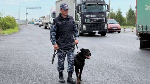 Астанада қызметтік ит автокөліктен есірткі тауып алды