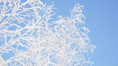 Қазақстанда қыс мезгілінде қайда демалуға болады