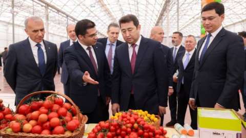 Шымкентте жылына 155 мың тонна қызанақ өндіретін жылыжай кешені іске қосылды