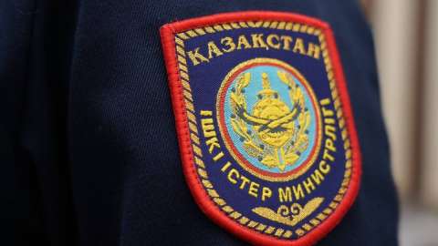 Полиция 100-ден астам мал ұрлығын ашты – ІІМ