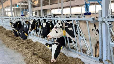 40 млн тонна мал азығы жиналды – АШМ