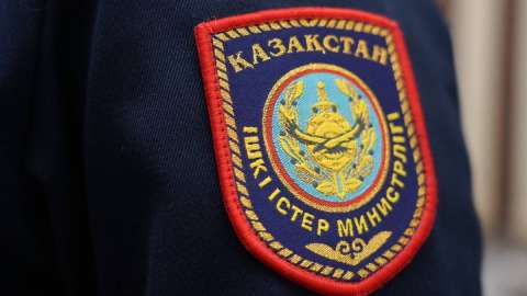 Қостанайда орманды заңсыз кесу схемасы әшкереленді – ІІМ