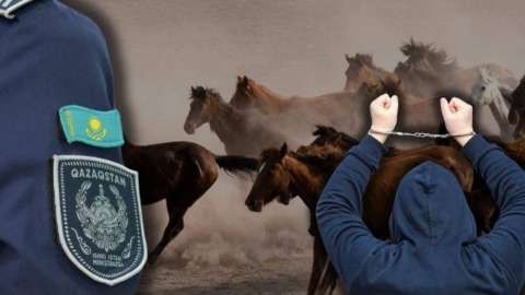 Ұлытау облысында ұрланған 100-ге жуық мал иелеріне қайтарылды