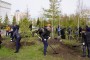 «Таза Қазақстан» бағдарламасы аясында 18 млн-нан астам ағаш отырғызылды