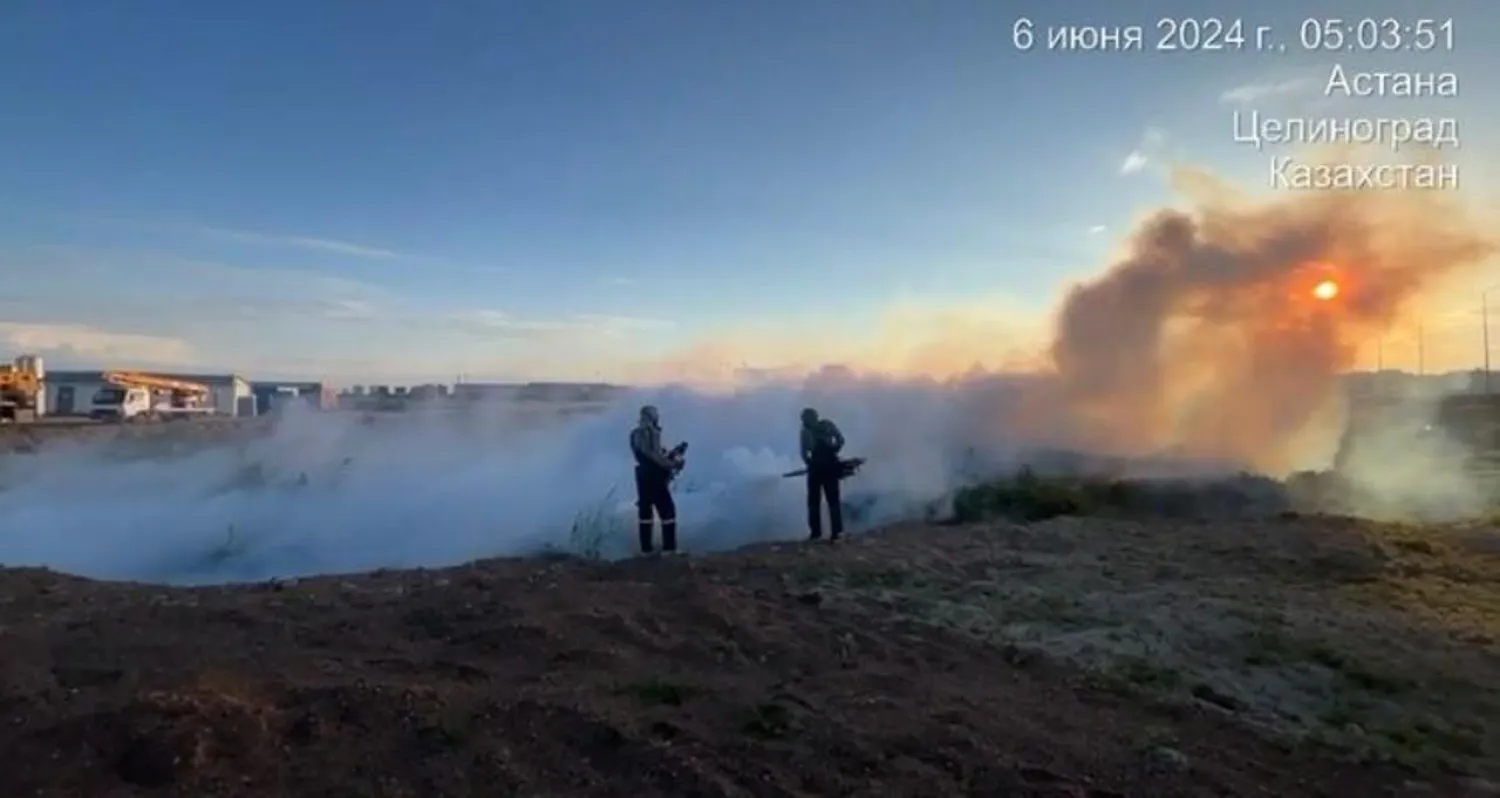 Астанада масаға қарсы дезинсекциялық жұмыс күн сайын жүргізіледі