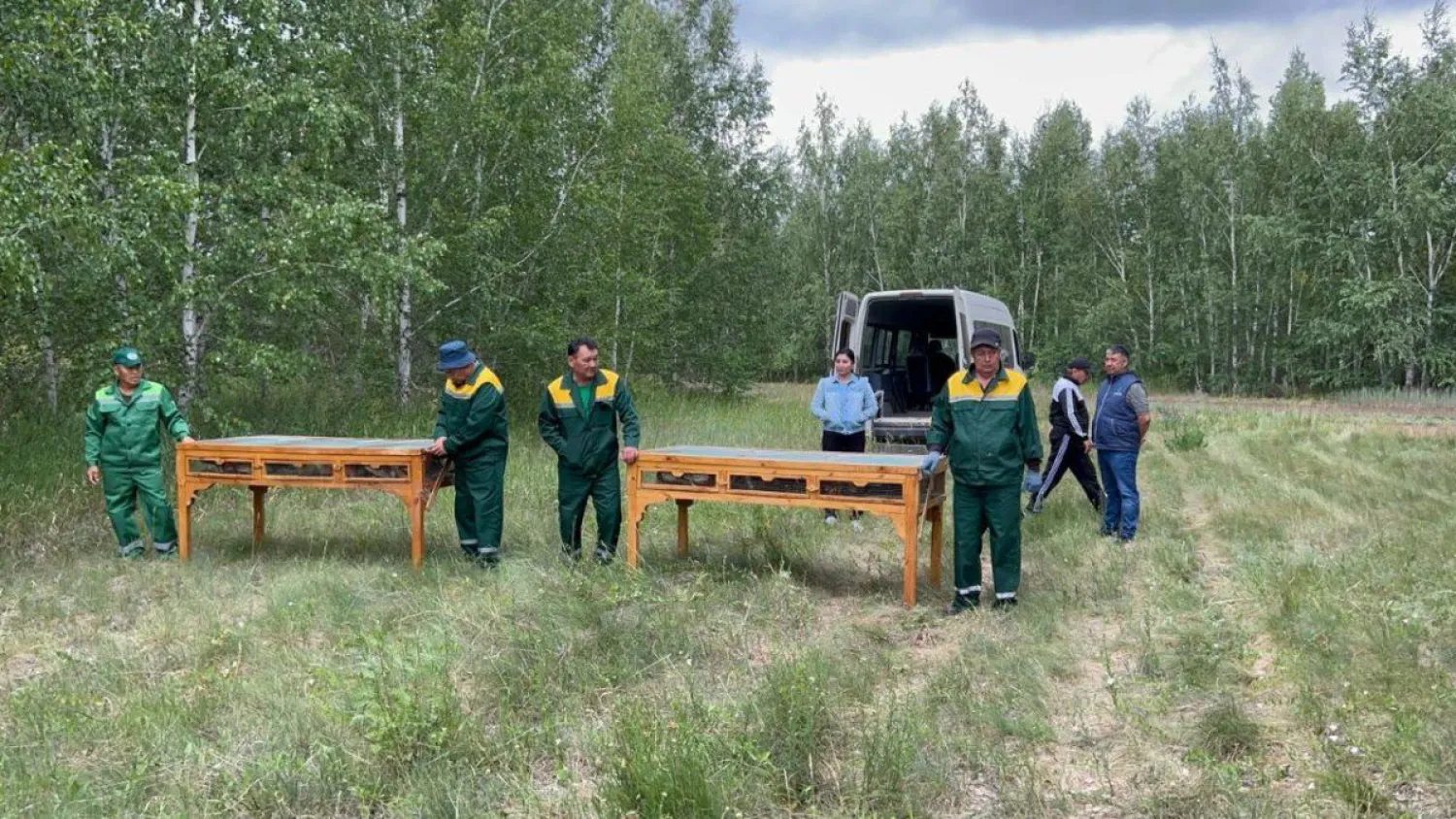 Елорданың жасыл белдеуіне 150 қырғауыл жіберілді