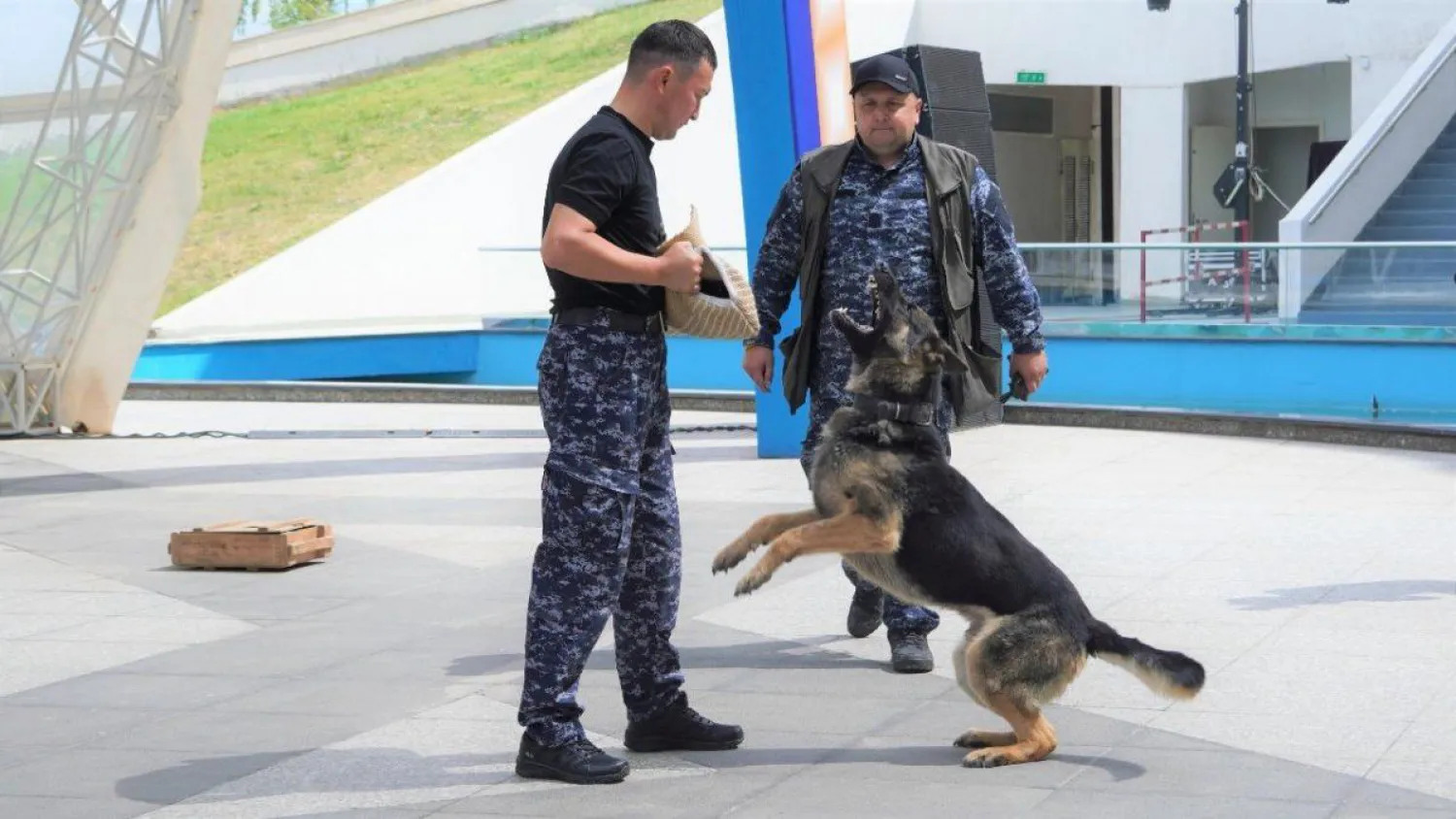 Нұр-Сұлтанда «Жастар есірткіге қарсы» фестивалі өтті