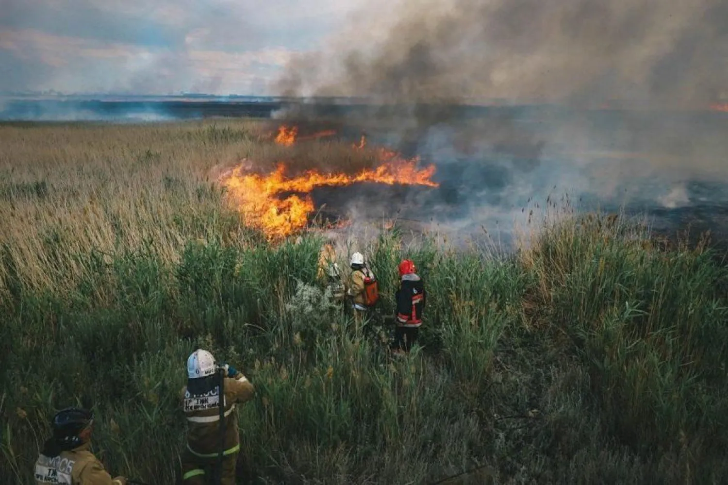 Елордадағы қамыс өртін сөндіруге тікұшақ жұмылдырылды