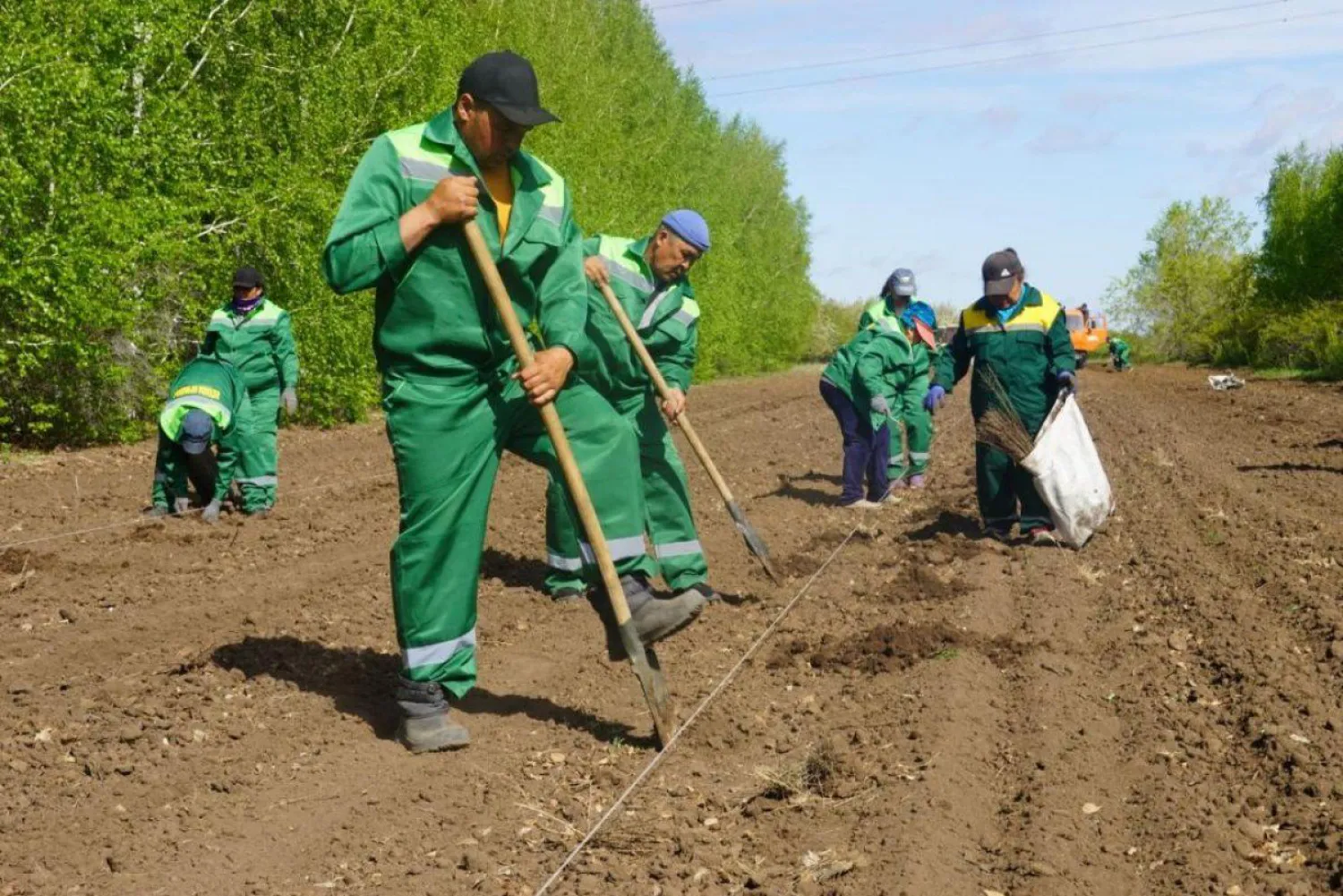 Елорданың жасыл белдеуіне 450 мыңнан астам көшет отырғызылады