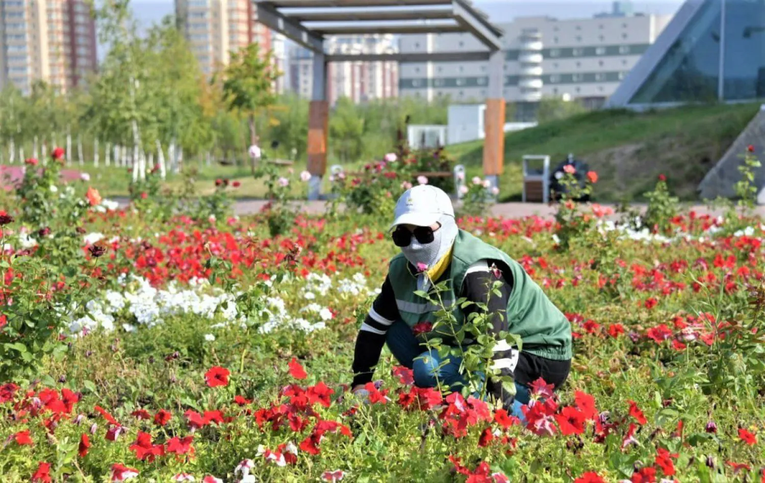 Нұр-Сұлтандағы саябақтарда өсімдіктерге қалай күтім жасалады