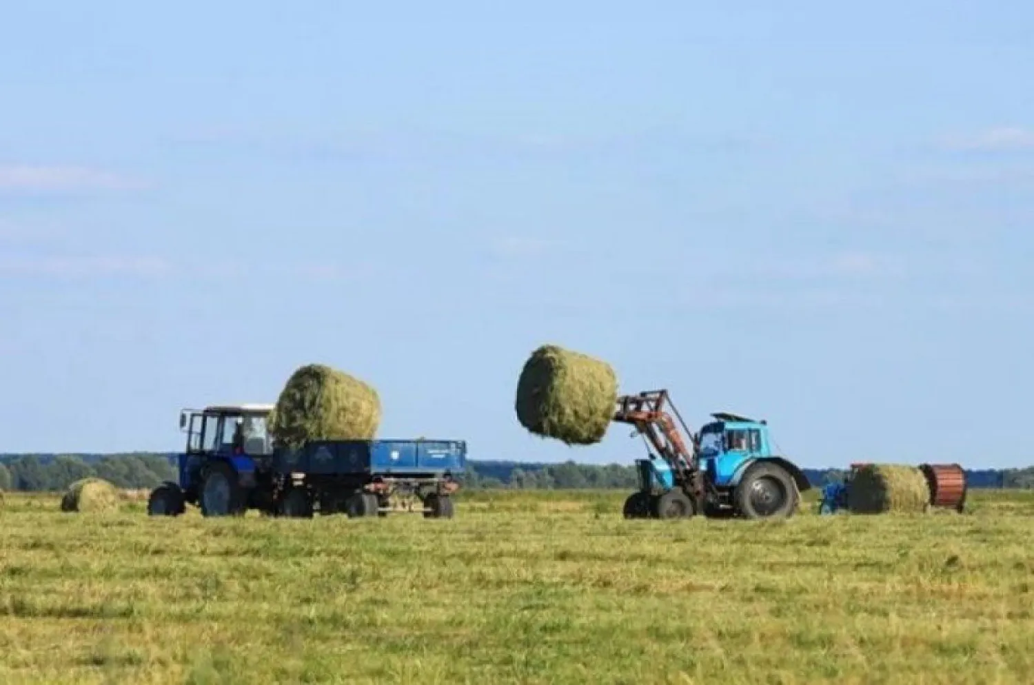 Елімізде шөп шабу науқанына 43 мың тоннадан астам жеңілдетілген жанар-жағар май бөлінеді