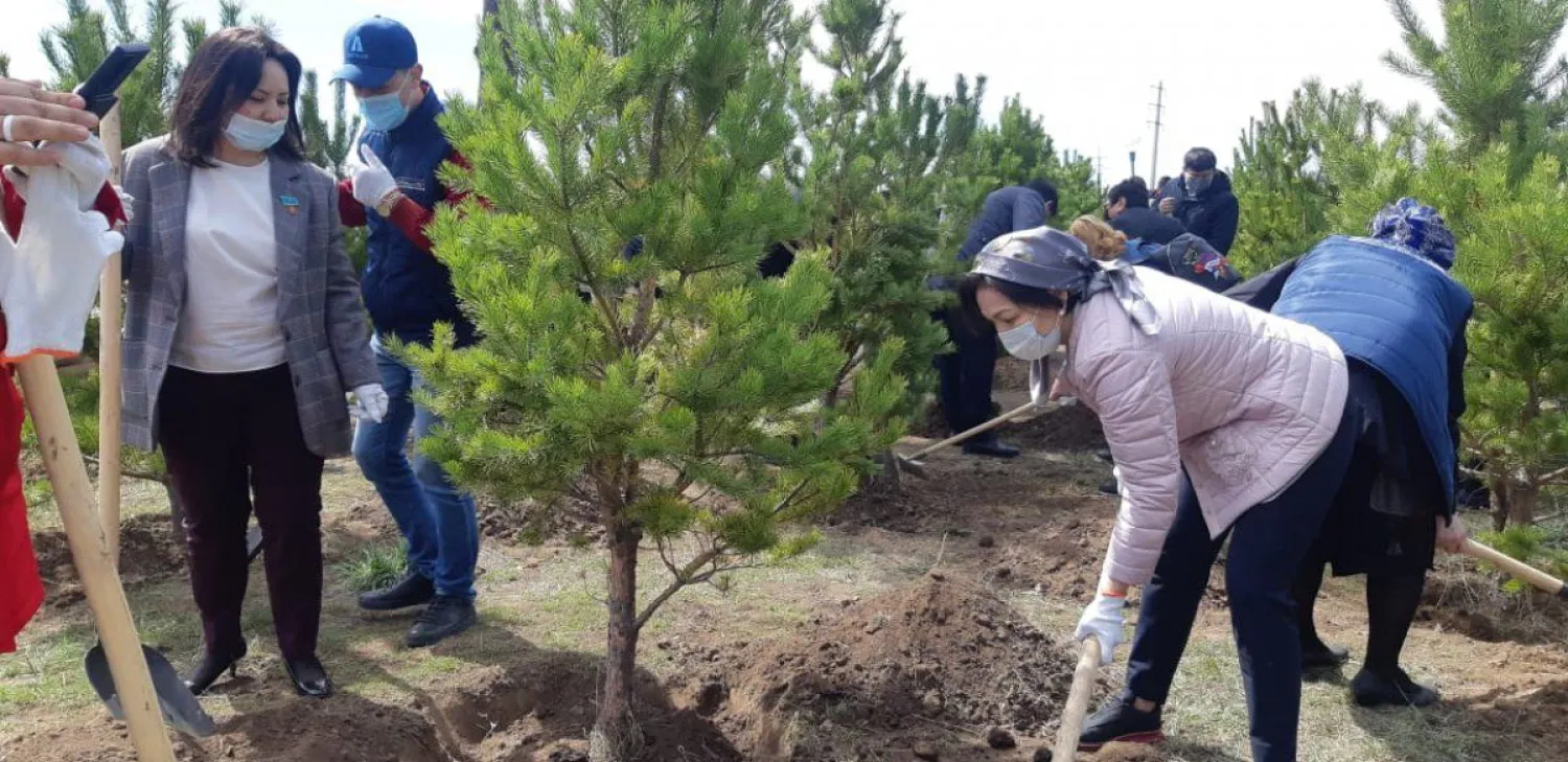 Экологиялық акцияға қатысушылар С.Рақымбекова атындағы аллеяға 110 түп ағаш екті