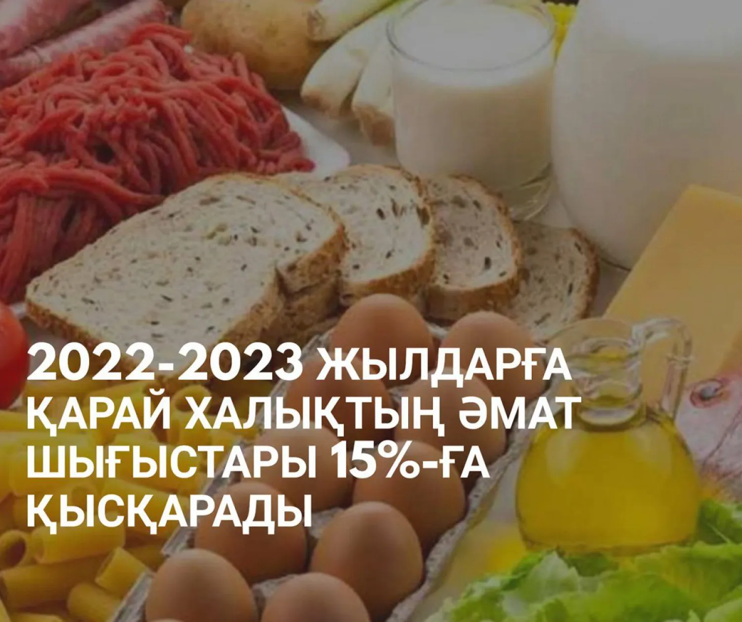 Ұлттық тауар өткізу жүйесі азық-түлік тауарларын сатып алу шығындарын азайтуға мүмкіндік береді - Сұлтанов