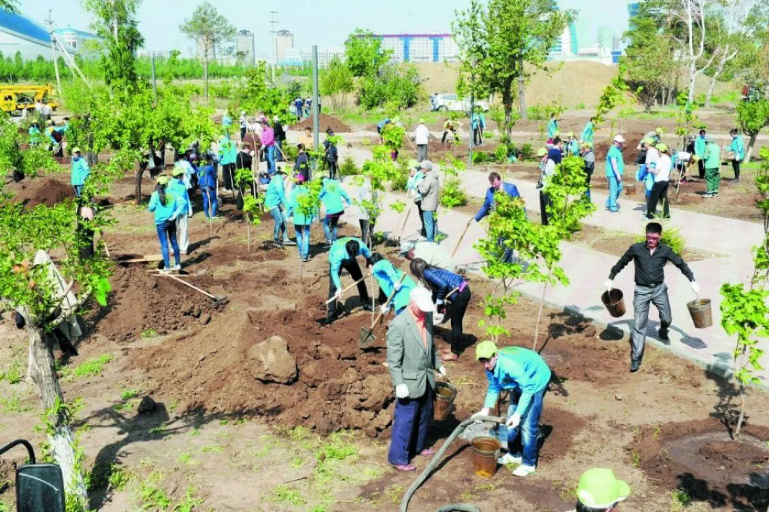 Экология министрлігі: Елімізде 5 жылда 2 млрд түп ағаш отырғызылады