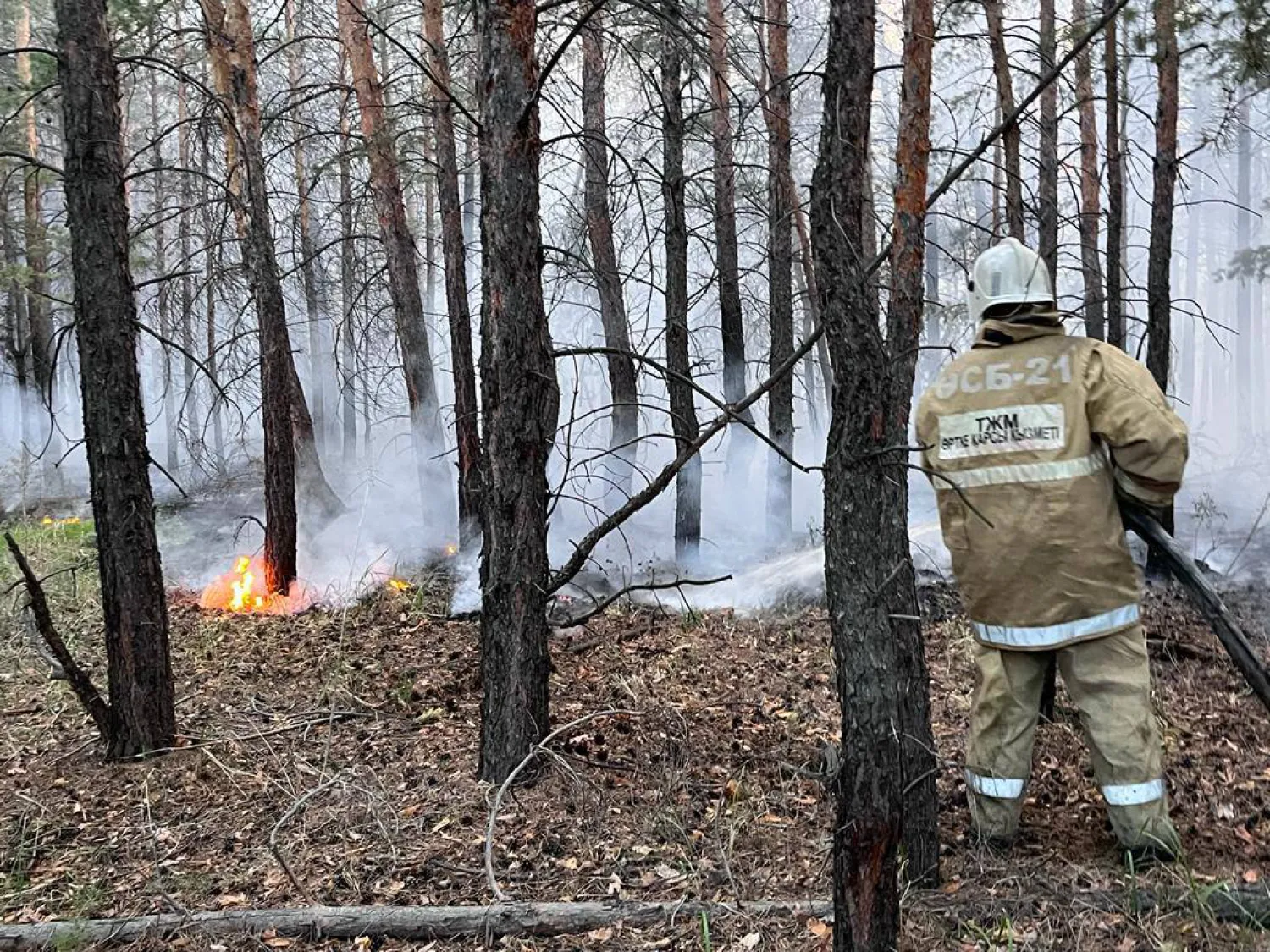 Абай облысында өртті сөндіру жұмыстары жалғасып жатыр