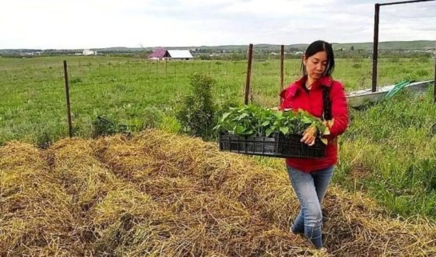 Кәсіп ашқысы келетін ауыл әйелдеріне грант беріледі