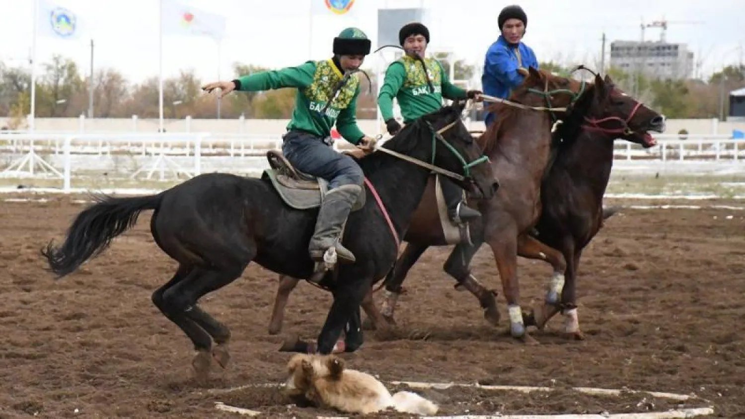 Қазақстандық спортшылар Дүниежүзілік көшпенділер ойындарына қатысады