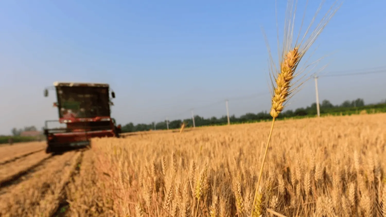 Елімізге 1,6 мың тоннадан астам өнім заңсыз әкелінген